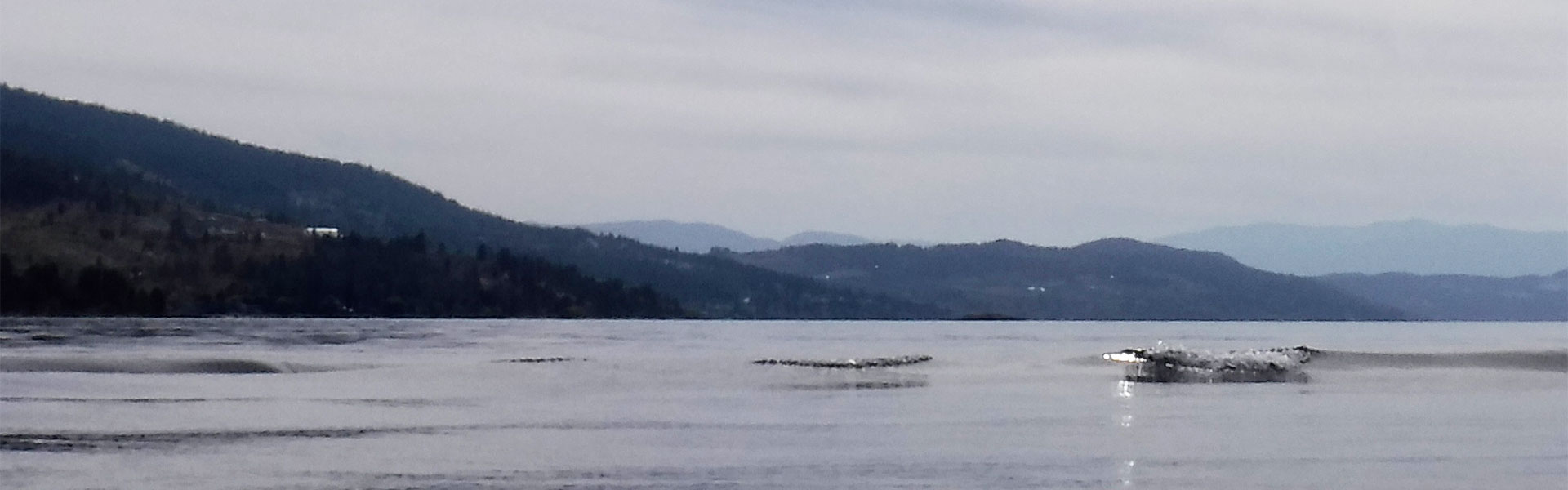 About the Legend Hunters - a search for the elusive Lake Okanagan monster