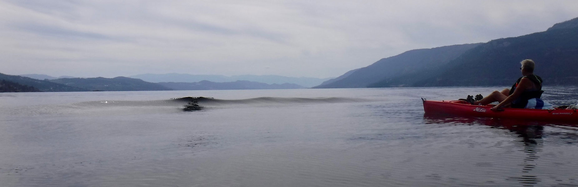 Up close and personal - was this Ogopogo?