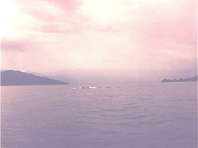 1981 Ogogopogo Sighting