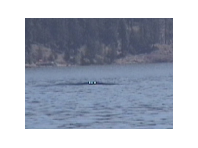 1981 Ogogopogo Sighting